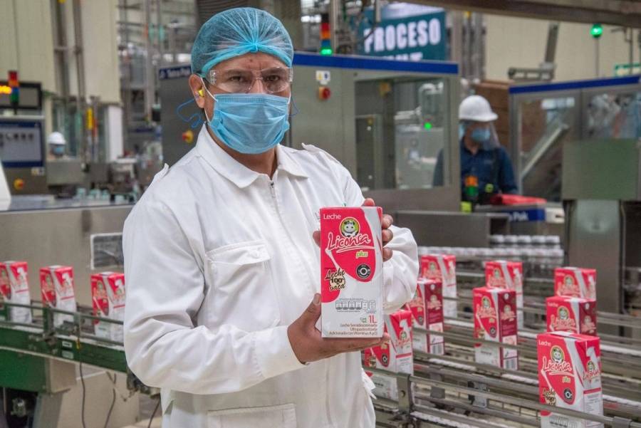 Avanza 70% construcción de planta pasteurizadora de leche en Campeche; meta es producir 15 mil millones de litros anuales  