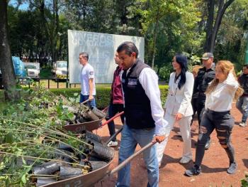 Diputados de Morena impulsan reforestación para un México más verde y sustentable