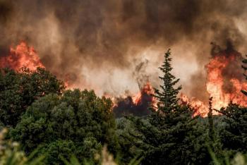 Se intensifican los incendios forestales por fuertes vientos en Grecia
