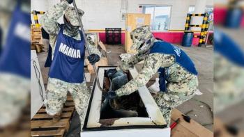 Confiscan m&aacute;s de 300 kilos de marihuana en la aduana del puerto de Veracruz