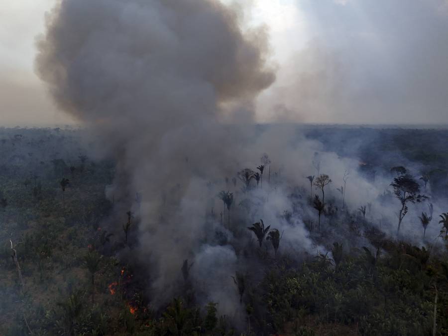 &Aacute;rea devastada por incendios en la Amazonia Legal caiu 65% en julio