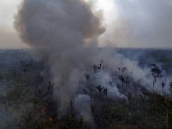 &Aacute;rea devastada por incendios en la Amazonia Legal caiu 65% en julio