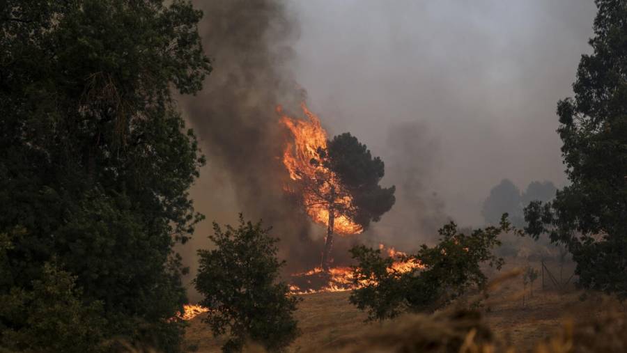 Muere en Portugal un bombero que combatía los incendios, cuarta víctima en el país