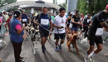 Carrera “Amar es Adoptar” en Coyoac&aacute;n une a perros rescatados y familias en un recorrido de 3 km