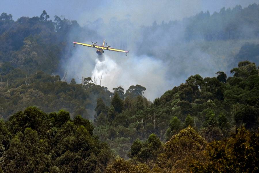 Portugal por fin respira aliviada tras controlar el peor fuego de su historia
