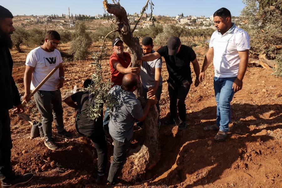 Una ONG israel&iacute; acusa a un general de cr&iacute;menes de guerra en Cisjordania