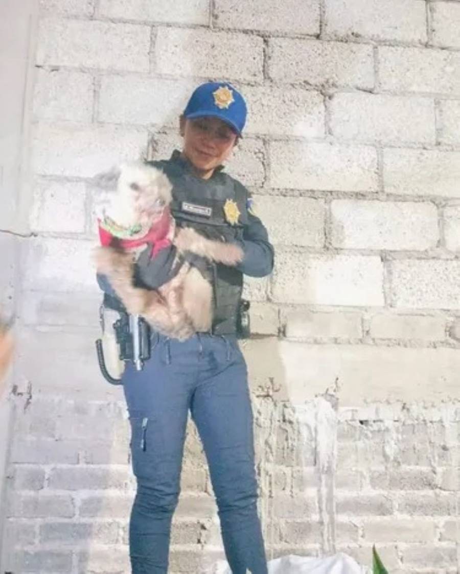 Policías rescatan a dos perritos atrapados en Iztapalapa y Álvaro Obregón