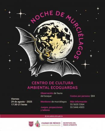 Murci&eacute;lagos en CDMX: Sedema invita a “Noches de Murci&eacute;lagos” en Tlalpan