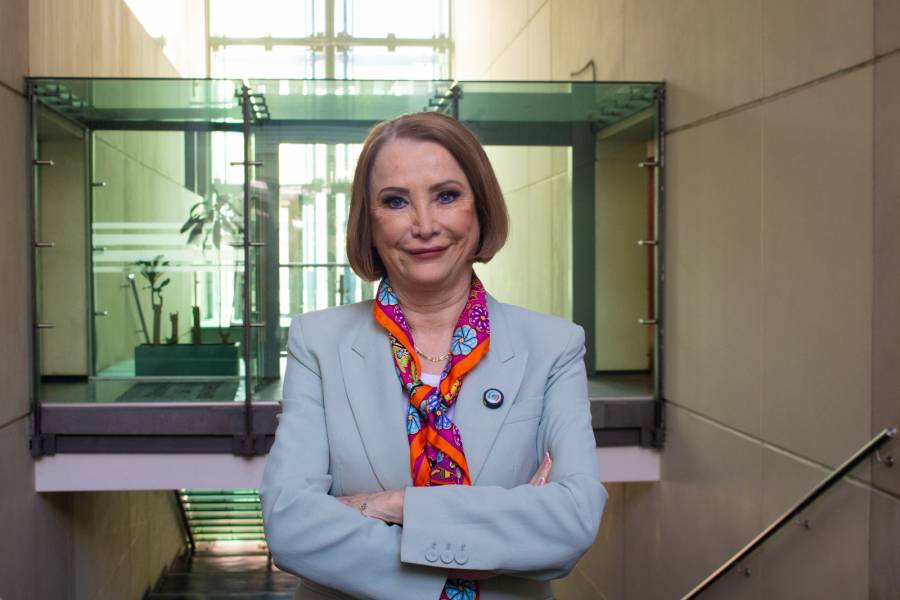 Laura Itzel Castillo, nueva presidenta del Senado: “Trabajaré con institucionalidad y sin declinar a mis principios”