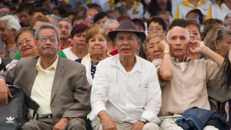 Fraudes digitales contra adultos mayores disminuyen 23% en CDMX, reporta Consejo Ciudadano