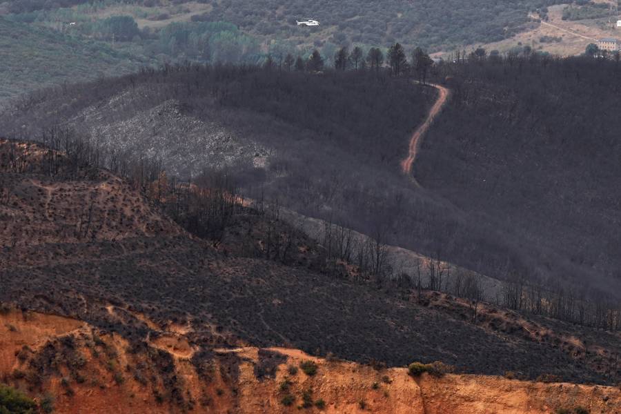Pedro Sánchez reconoce que la prevención de incendios en España fue 