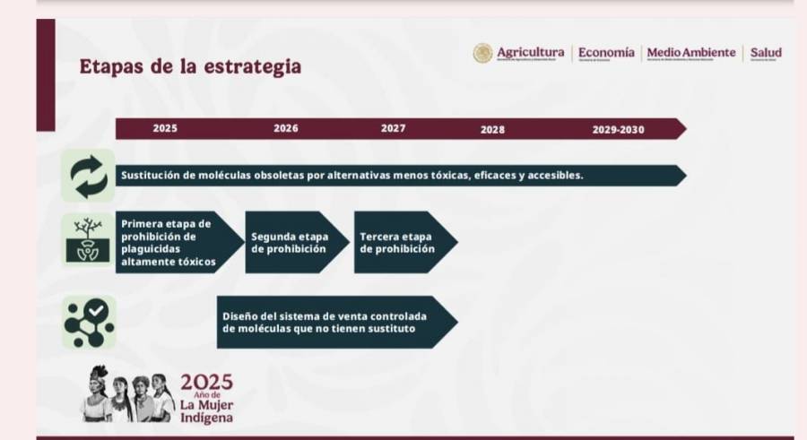 Se proh&iacute;ben 35 plaguicidas en M&eacute;xico por riesgo a la salud y al ambiente
