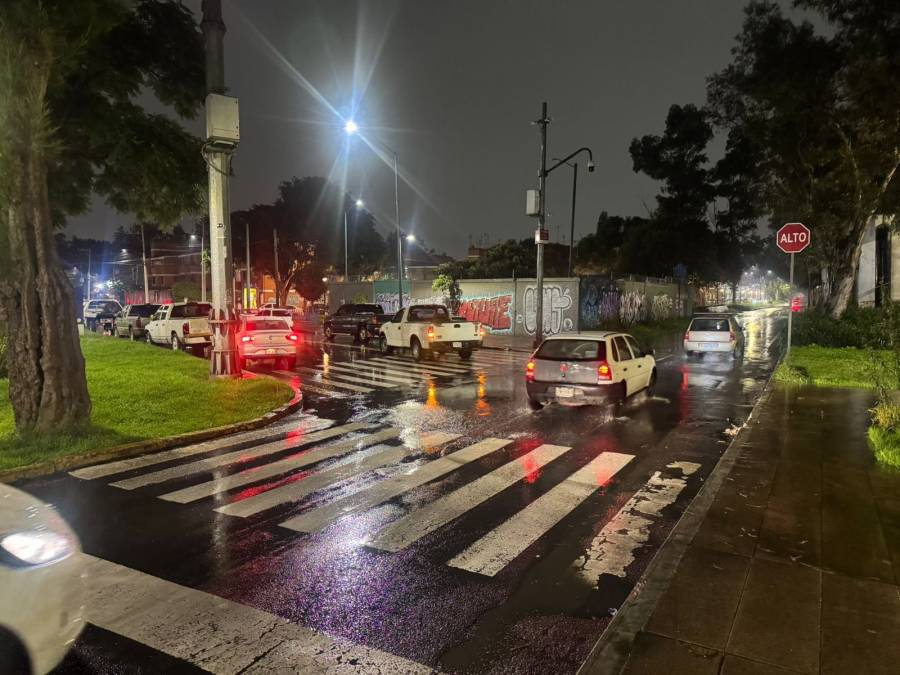 GobCDMX atiende 51 encharcamientos y 39 árboles caídos tras fuertes lluvias