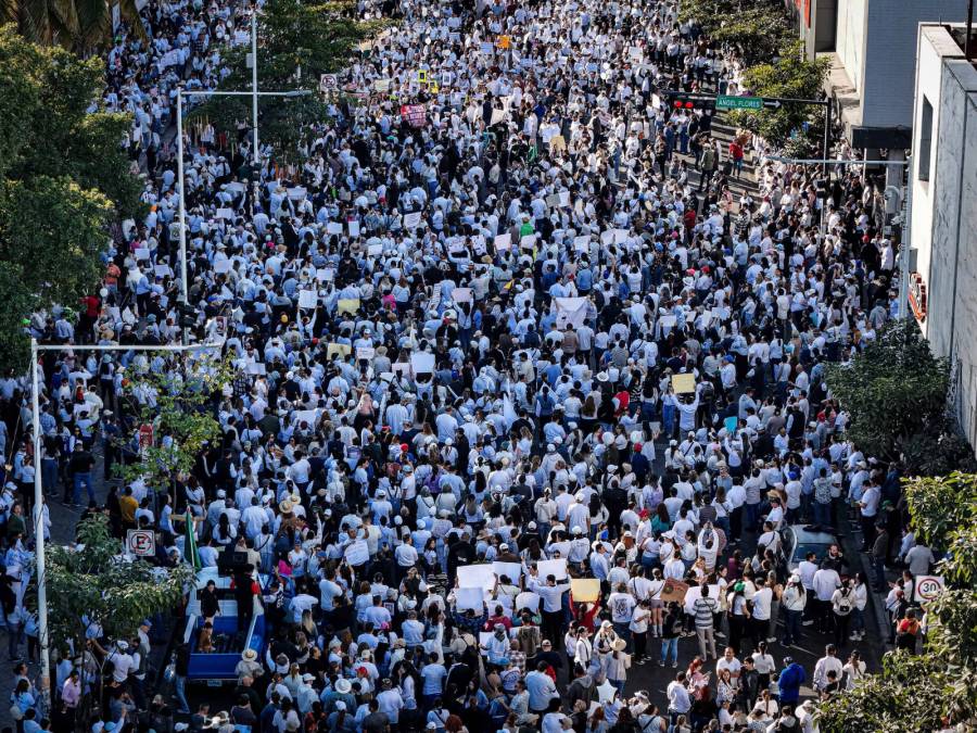Marcha por la paz en Culiacán reúne a más de 10 mil personas contra la violencia en Sinaloa