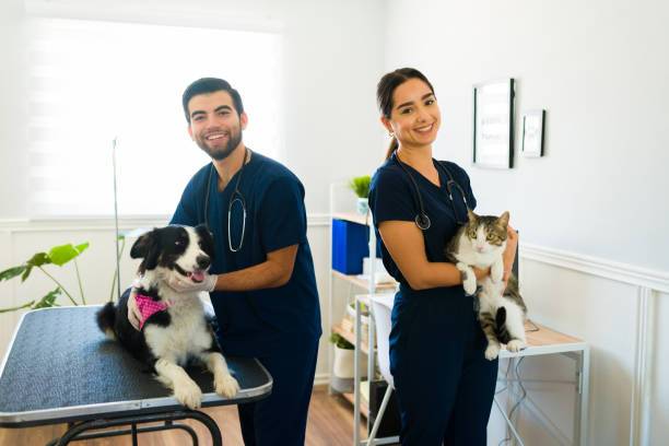 México, referente mundial en la eliminación de la rabia canina: el reto ahora está en la fauna silvestre