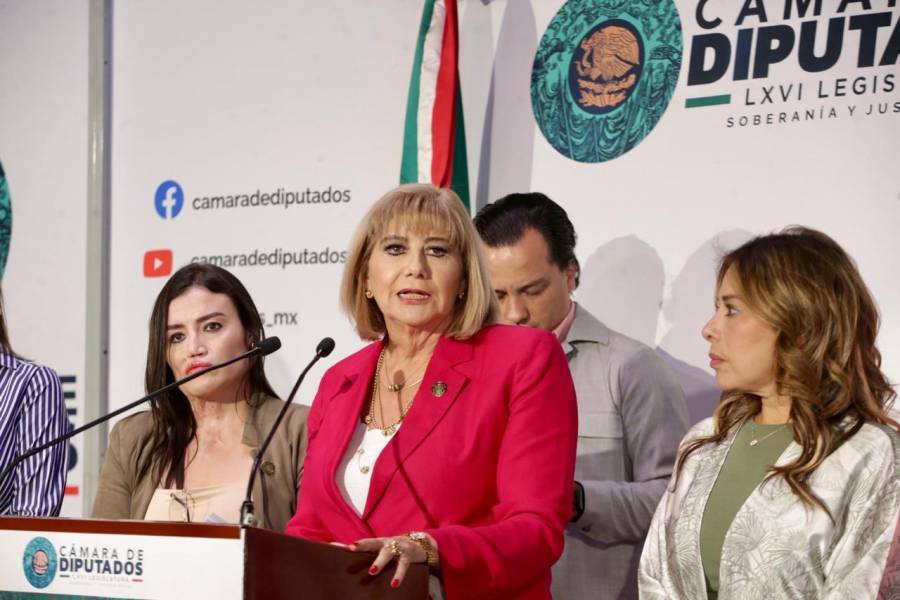 Diputada Socorro Jasso pide programa nacional contra baches y socavones en México