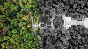 Buscan frenar p&eacute;rdidas de &aacute;reas verdes en la Ciudad de M&eacute;xico