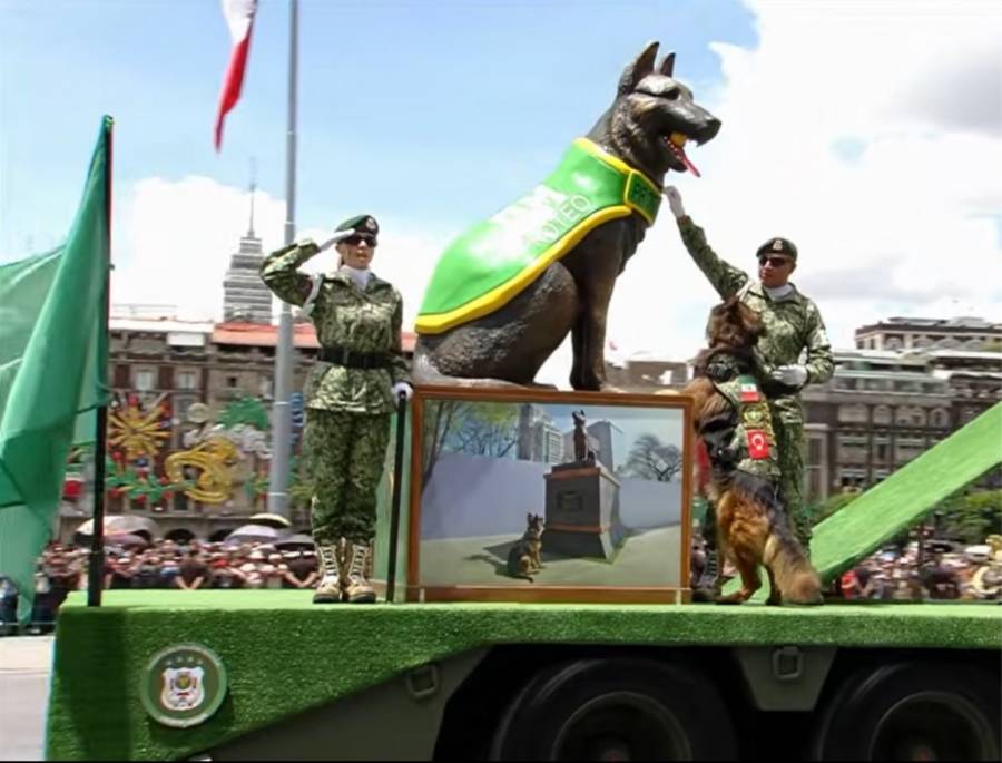 Binomios caninos destacan en el Desfile Cívico Militar 2025