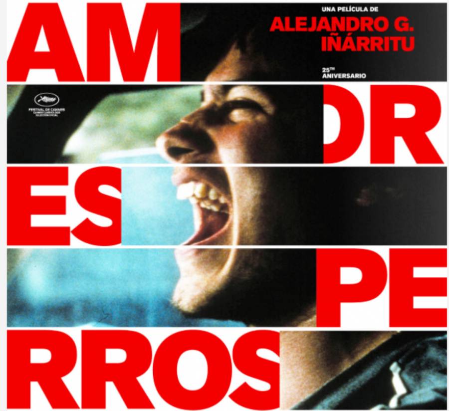 MUBI ANUNCIA EL REESTRENO LATINOAMERICANO EN CINES Y PLATAFORMA DE LA ÓPERA PRIMA DE ALEJANDRO G. IÑÁRRITU  AMORES PERROS