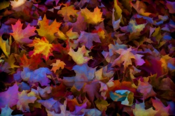 Este lunes llega el equinoccio de Oto&ntilde;o