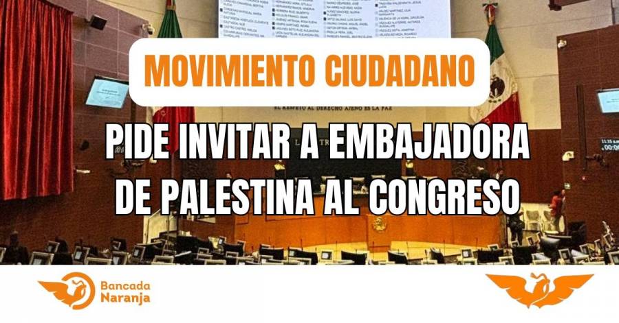 Movimiento Ciudadano pide invitar a embajadora de Palestina al Congreso para exponer crisis humanitaria