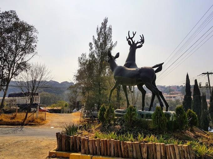 Avanza segunda etapa del rescate del Parque de los Ciervos en Atizapán pese a litigio agrario