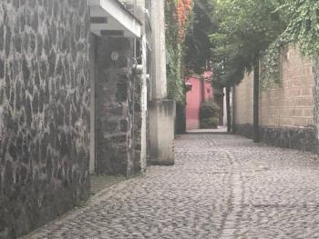 Hospitalidad comunitaria genera derrama de 22 mil millones de pesos y 67 mil empleos en CDMX