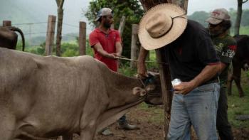Estados Unidos exige a M&eacute;xico reforzar controles sanitarios ante brote del gusano barrenador