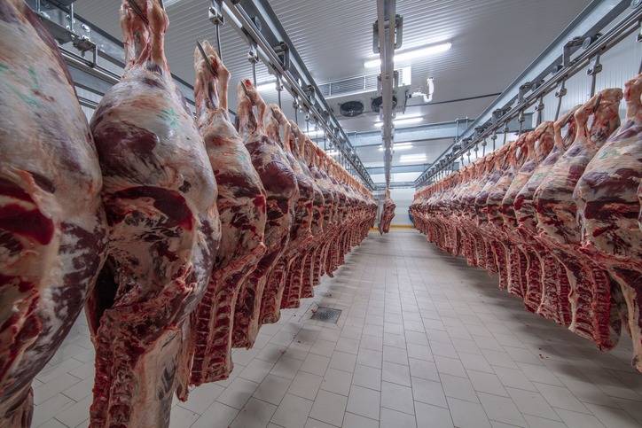 M&eacute;xico enfrenta presi&oacute;n de la industria c&aacute;rnica por restricciones al movimiento de ganado ante brote de gusano barrenador