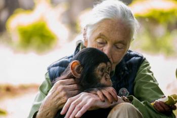 La reconocida experta en primates Jane Goodall muere a los 91 a&ntilde;os