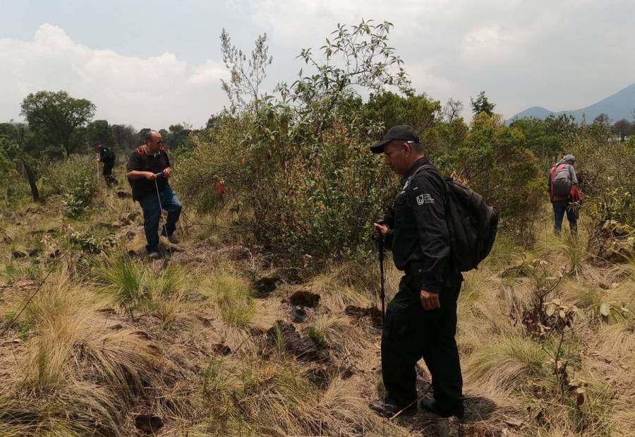 Ajusco, foco rojo por desapariciones: tres casos recientes alertan a familiares y autoridades