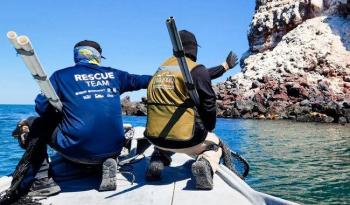 PROFEPA y CONANP liberan redes de pesca de 8 lobos marinos en Baja California