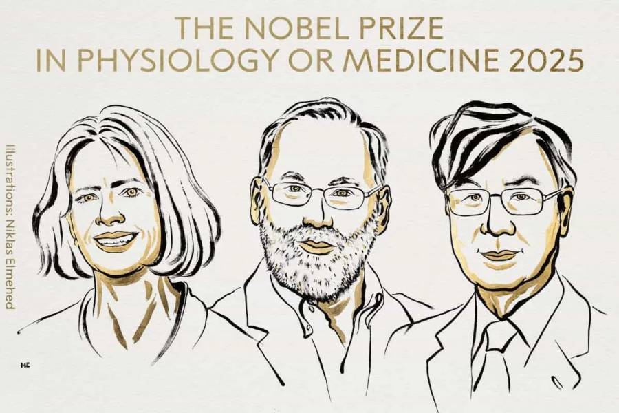 El Nobel de Medicina premia la investigaci&oacute;n sobre el control del sistema inmunitario