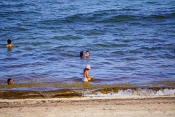 Menor Arribo de Sargazo a las Playas de Quintana Roo en 2025