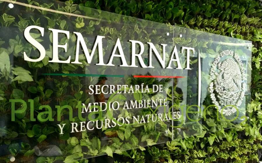 Semarnat reconoce daños en cavernas y cenotes por obras del Tren Maya en tramo Cancún–Playa del Carmen