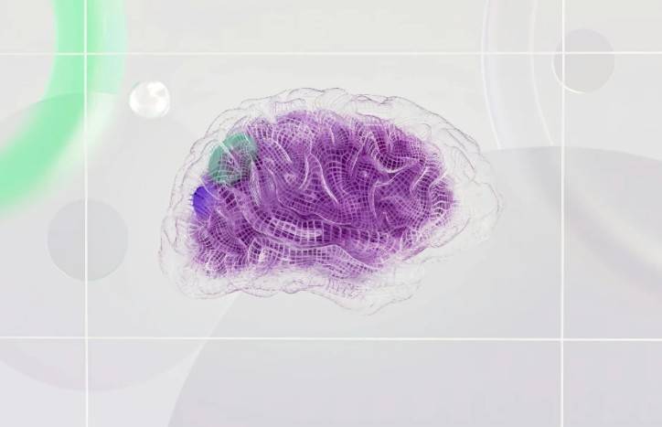 Descubren c&oacute;mo proteger el cerebro sin enfriarlo