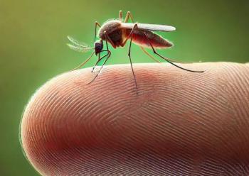 Dengue concentra la atenci&oacute;n sanitaria en cinco estados afectados por las lluvias