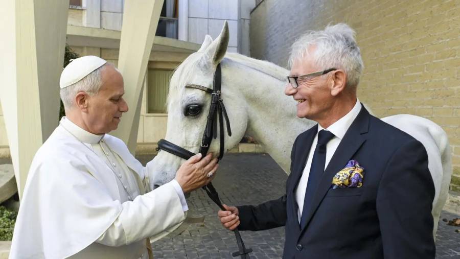Papa León XIV recibe caballo árabe pura sangre como regalo benéfico