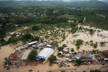 Lluvias torrenciales dejan 64 muertos y 65 desaparecidos en M&eacute;xico