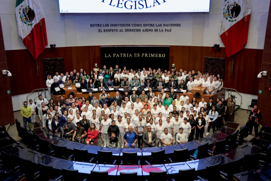 Senado aprueba declarar el 22 de julio como D&iacute;a Nacional del Cerebro para promover la salud neurol&oacute;gica en M&eacute;xico