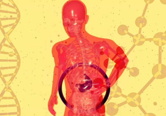 Detectan vínculo entre dieta baja en fibra y diverticulitis