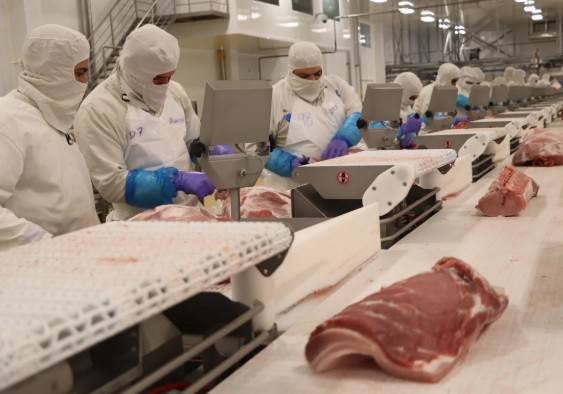 Incertidumbre en la industria c&aacute;rnica: A d&oacute;nde ir&aacute; a parar la carne mexicana