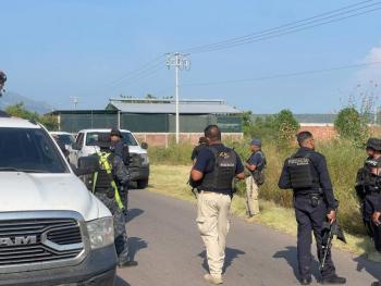 Fiscal&iacute;a de Michoac&aacute;n investiga presuntos v&iacute;nculos entre citricultores de Apatzing&aacute;n y crimen organizado
