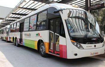 Edomex renueva imagen del transporte p&uacute;blico con sistema Movimex: nueva crom&aacute;tica, se&ntilde;al&eacute;tica y pictogramas por regi&oacute;n