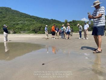 Marinos apoyan eclosi&oacute;n y liberaci&oacute;n de tortugas marinas en Guerrero