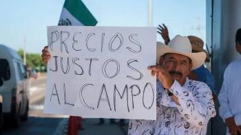 Productores de ma&iacute;z inician mesas de trabajo con Sader para definir reglas del apoyo de 950 pesos por tonelada