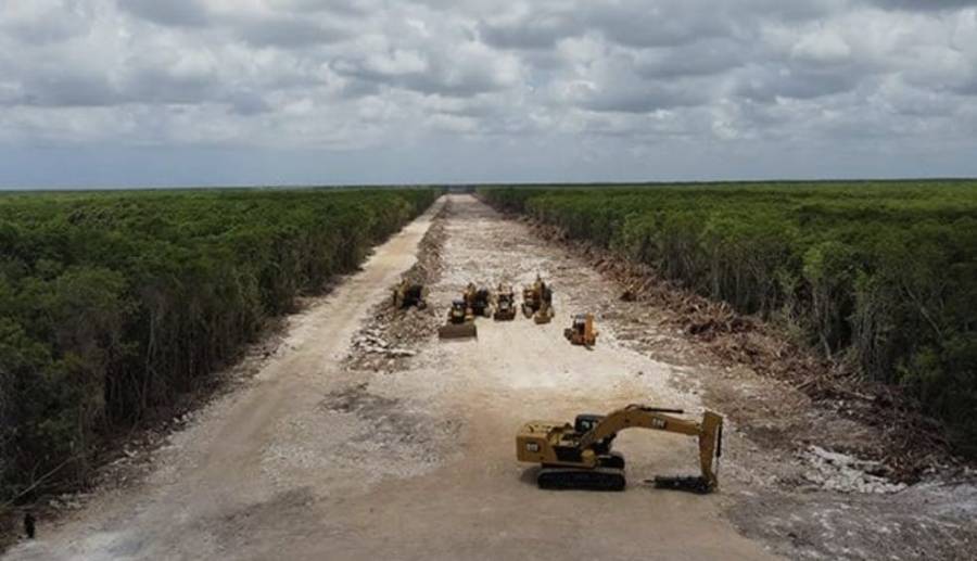Diputado del PAN acusa a nuevos jueces de avalar destrucción ambiental por el Tren Maya