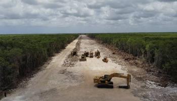 Diputado del PAN acusa a nuevos jueces de avalar destrucci&oacute;n ambiental por el Tren Maya