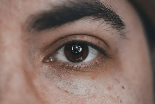 Descubren c&oacute;mo el ojo entrena la memoria facial perfecta