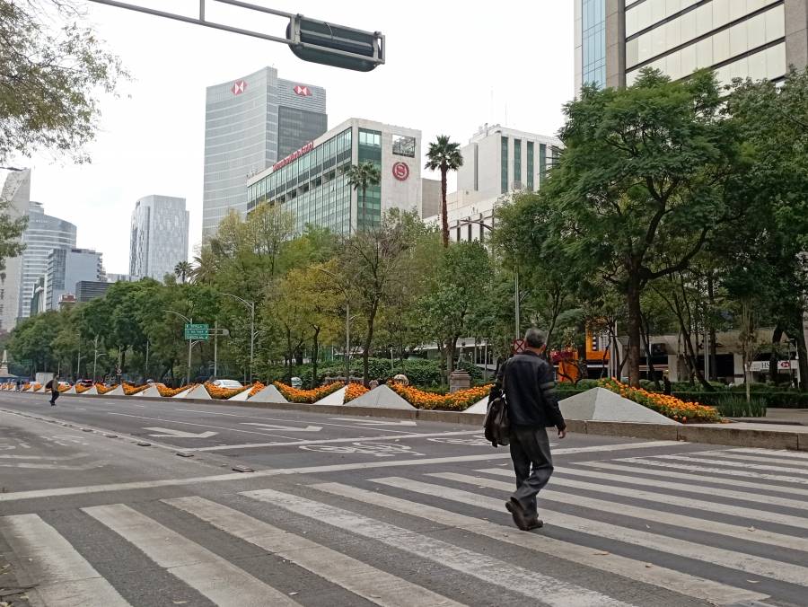 Prevén cielo despejado y ambiente cálido para este viernes en la Ciudad de México